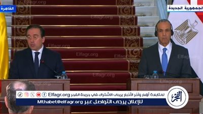 إسبانيا: لن نسمح بوصول أي أسلحة لإسرائيل أو مرورها عبر أراضينا (فيديو)