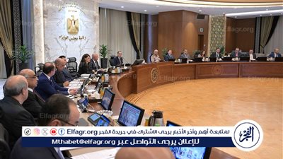 عاجل - الحكومة توافق على تعديلات جديدة لتعزيز دور صندوق مكافحة الهجرة غير الشرعية وحماية المهاجرين