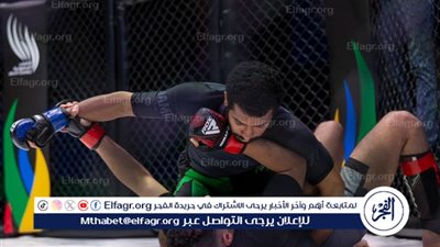  6 متأهلين في نهائيات فنون القتال المختلطة