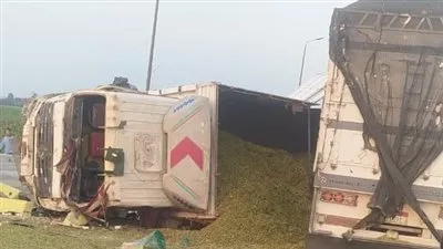 إصابة 15 شخصا في تصادم 5 سيارات على الطريق الإقليمي بالمنوفية 