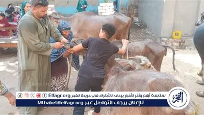 تقديم 2694 خدمة بيطرية في 3 قوافل مجانية ضمن 