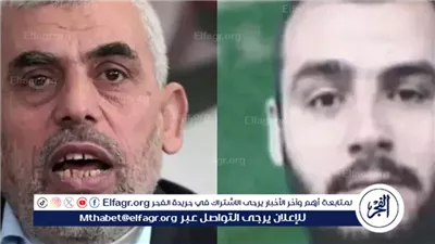 إعلام عبري: الجيش الإسرائيلي نفذ عملية اغتيال استهدفت محمد السنوار