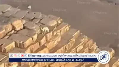 بالتبول| قائد وحدات كلاب الحرب سابقا يكشف أسرار جديدة عن كلب قمة الهرم 