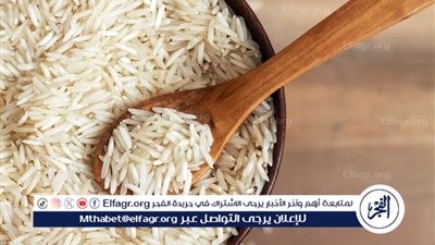 ارتفاع أسعار الأرز والسلع الغذائية في مصر: تحديثات 19 أكتوبر 2024