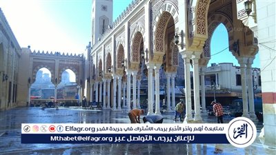 رفع 1000 طن مخلفات خلال أيام الاحتفال بمولد السيد البدوي