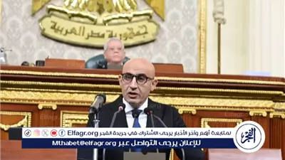 نائبة: بيان وزير التعليم أمام البرلمان يؤكد أن الحكومة تفكر خارج الصندوق