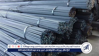 أسعار الحديد تواصل التراجع في مصر.. ما هي الأسباب والتوقعات؟