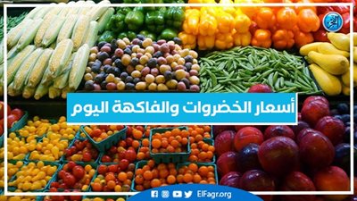 أسعار الخضروات والفاكهة اليوم الأربعاء 23-10-2024 في أسواق محافظة البحيرة