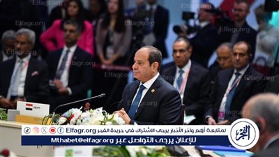 أستاذ علوم سياسية: التحاق مصر بـ البريكس يهدف إلى تحقيق مصالحها الكبرى