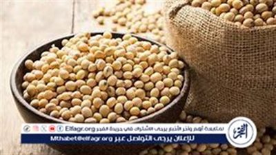 ارتفاع أسعار فول الصويا عالميًا في أغسطس 2024 مدفوعًا بزيادة الطلب