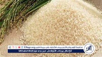 ارتفاع صادرات الأرز الفيتنامي لمستوى قياسي خلال عام 2024