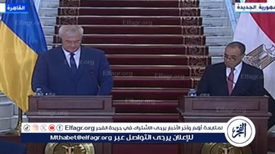 وزير الخارجية: نتوقع وصول حجم التبادل التجاري مع أوكرانيا لـ 2 مليار دولار
