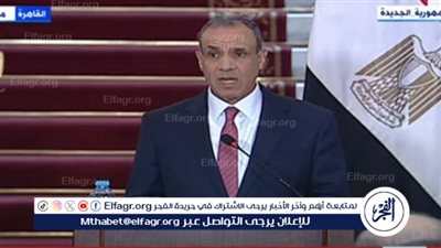 وزير الخارجية: مصر تتحمل أعباء ضخمة نتيجة استضافتها 10 ملايين ضيف (فيديو)