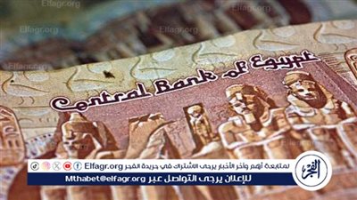 استقرار سعر الجنيه المصري أمام عملات دول البريكس بعد قمة 2024