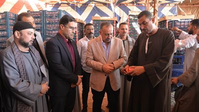 محافظ أسيوط يشهد حصاد محصول الرمان بقرية بويط بمركز ساحل سليم  
