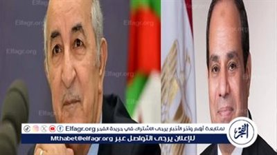 دبلوماسي سابق: لقاء الرئيس السيسي بنظيره الجزائري دفع علاقات التعاون بين البلدين