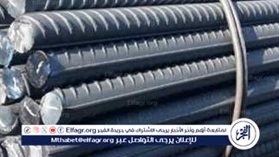 تغيرات ملحوظة في أسعار مواد البناء بمصر: استقرار الحديد وارتفاع الأسمنت
