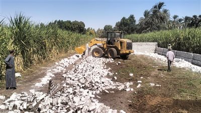 إزالة ٣٠ حالة تعد علي أراضي املاك الدولة والأراضي الزراعية بإسنا جنوب الأقصر