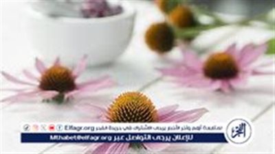 أعشاب طبيعية لتعزيز المناعة والوقاية من نزلات البرد