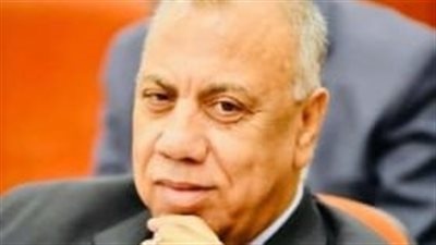 رئيس الغرفة التجارية بالدقهلية: أصبحت الغرف تمثل رقما صحيحا فى المعادلة الإقتصادية