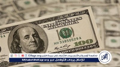 سعر الدولار منتصف تعاملات اليوم الاثنين 28 أكتوبر 2024.. تفاصيل الاستقرار في سوق الصرف