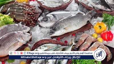 أسعار المأكولات البحرية والجمبري اليوم السبت 11-1-2025 في محافظة الدقهلية