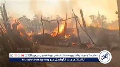 السيطرة علي حريق بمزرعة دواجن بالفيوم دون إصابات