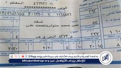 إرشادات الشركة القابضة لكهرباء مصر لمستخدمي العدادات مسبقة الدفع والذكية لتجنب مخالفات سرقة التيار الكهربائي