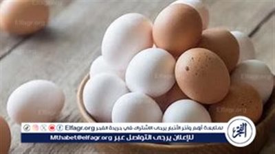 شعبة الدواجن: تخزين البيض سبب ارتفاع سعره.. والتجار الكبار يريدون احتكار الصناعة