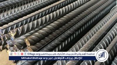 تراجع ملحوظ في أسعار الحديد والأسمنت في مصر: فرصة جديدة للمستثمرين