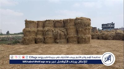 البيئة: تحويل قش الأرز من عبء بيئي إلى مورد اقتصادي(فيديو)