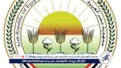 وزارة الزراعة تنفذ حملات تفتيش مفاجئة على مخازن الأعلاف بسوهاج