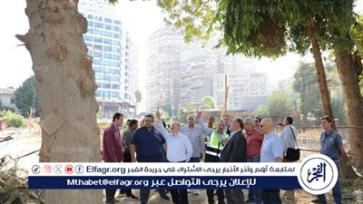 الزراعة تكشف حقيقة قطع الأشجار في حديقة الأورمان