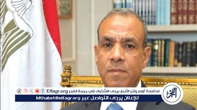 عاجل - وزير الخارجية: مصر تدعم النيجر في مكافحة الإرهاب وتطوير العلاقات بمختلف المجالات