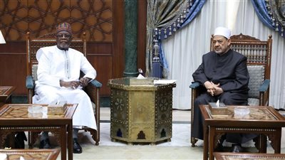 شيخ الأزهر: مستعدون لإنشاء مركز لتعليم اللغة العربية لتعليم أبناء النيجر 