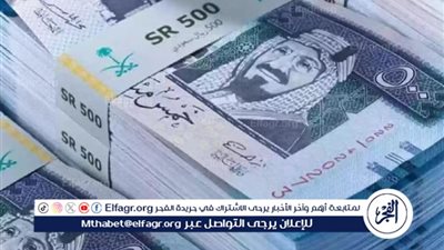 استقرار سعر الريال السعودي مقابل الجنيه المصري في 1 نوفمبر 2024