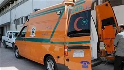 إصابة شخصين إثر تصادم سيارتين نقل على الطريق الإقليمي بالمنوفية