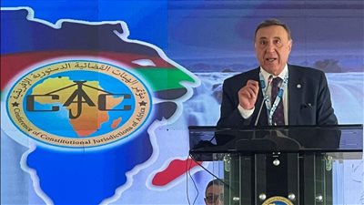 رئيس الدستورية: إجتماعات المجالس الافريقية تهدف للوصول للحكم الرشيد