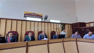 بعد تنازل الأسرة.. مستأنف بورسعيد تقضي بالسجن المشدد 15 عاما علي قاتل شقيقه