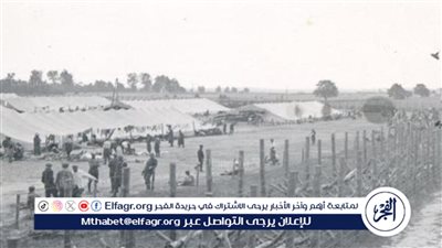 اكتشاف مقبرة جماعية لجنود الجيش الأحمر الأسرى في بولندا