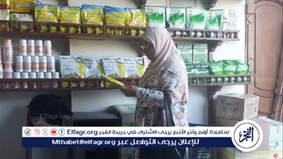 لهذه الاسباب..محافظ الدقهلية يحيل 282 محضرا حررتها لجان الرقابة على الأسواق للنيابة العامة 