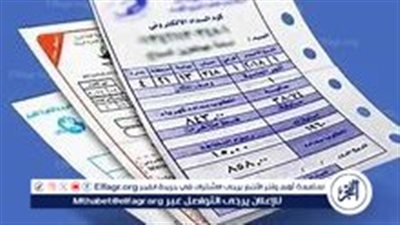 خطوات الاستعلام عن فاتورة الكهرباء لشهر نوفمبر 2024 وخطة تركيب العدادات مسبقة الدفع