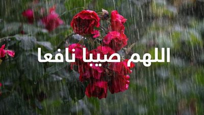 دعاء المطر والرعد والبرق.. ما الذي يُستحب قوله؟