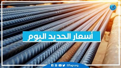 انخفاض سعر الحديد اليوم الثلاثاء 5 نوفمبر 2024 في الأسواق
