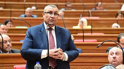 عاجل| وكيل خطة النواب: 6 معوقات تقيد الاستفادة من قانون تسوية المنازعات الضريبية