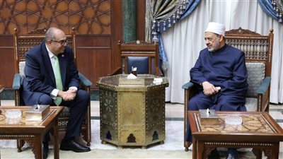 شيخ الأزهر يستقبل الدكتورمحمود محيي الدين 