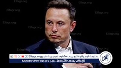  قاضٍ في بنسلفانيا يسمح لماسك بالتبرع بمليون دولار يوميًا للناخبين في الولايات المتأرجحة