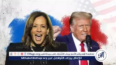  أستاذ علوم سياسية: مصر مُستعدة للتعامل مع أي إدارة أمريكية جديدة