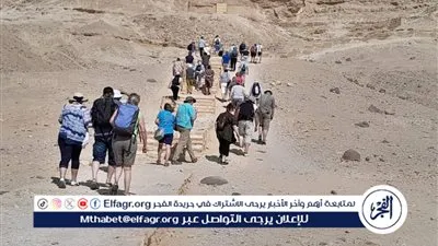 وفود عالمية تزور تل العمارنة لاستكشاف تاريخ مصر العريق