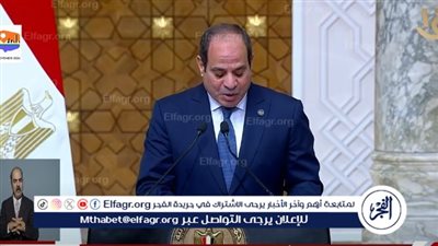السيسي: مصر تعتبر القضية الفلسطينية صلب قضايا المنطقة (فيديو)